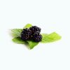 سیگار نوسو بنفش (Purple)Nuso-purple2