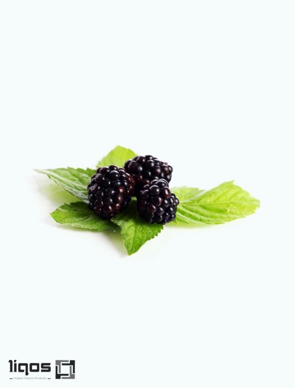 سیگار نوسو بنفش (Purple)Nuso-purple2