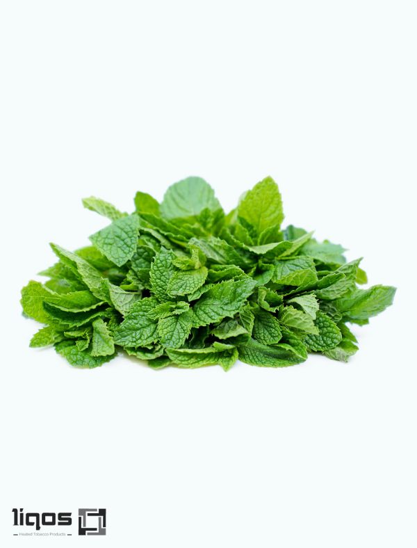 سیگار ترا بلک منتول (Black menthol) ژاپنیTerea-cigarette-black-menthol-Japan2