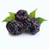 سیگار ترا بلک پرپل منتول (Black purple menthol) ژاپنیTerea-cigarette-black-purple-menthol-Japan2