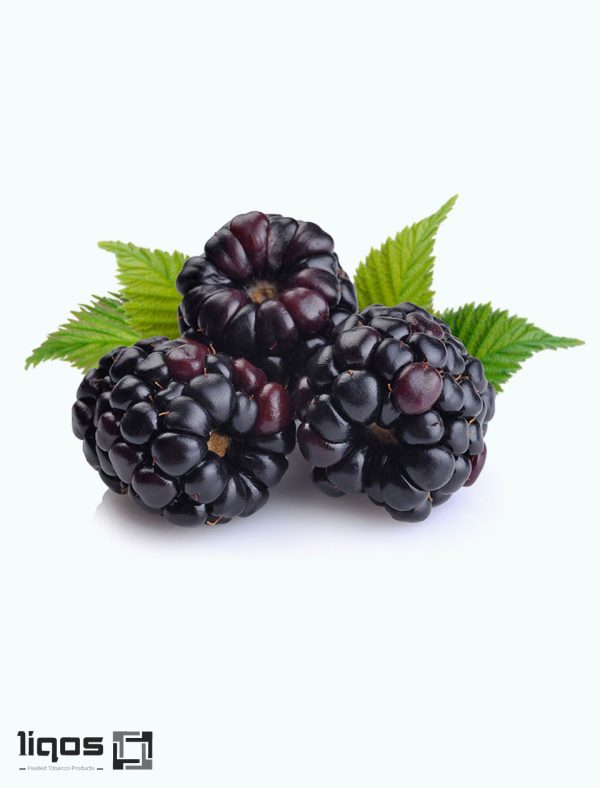 سیگار ترا بلک پرپل منتول (Black purple menthol) ژاپنیTerea-cigarette-black-purple-menthol-Japan2