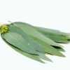 سیگار ترا برایت منتول (bright-menthol) ژاپنیTerea-cigarette-bright-menthol-Japan2